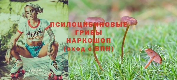 альфа пвп Армянск